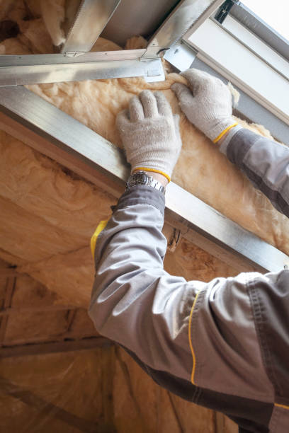 Best Insulation Maintenance and Repair in New Iberia, LA