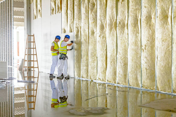 Professional Insulation Contractor in New Iberia, LA
